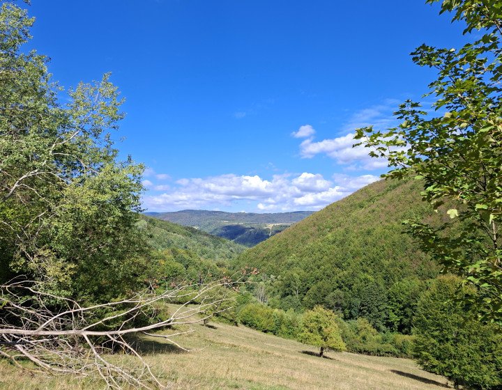Predaj, pozemok ,Píla okres Žarnovica, (045-14-ZOLA)