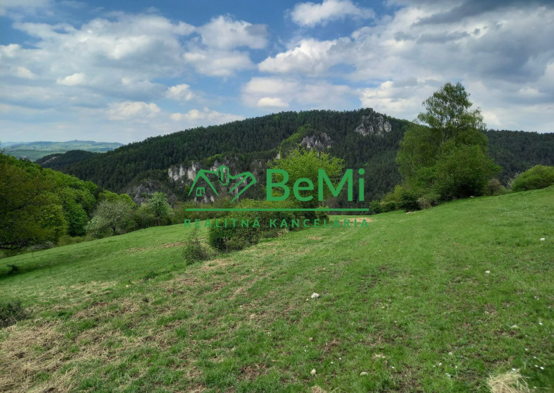 Predaj, pozemky, obec Paština Závada, Žilina (066-14-BOC)