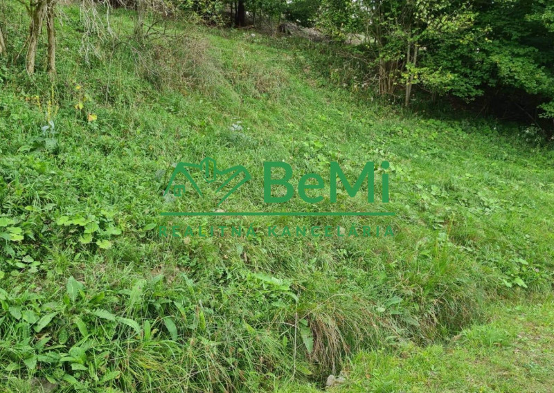 Predaj:Rekreačný pozemok, 3385m2,Turzovka, Čadca(728-14-JAS)