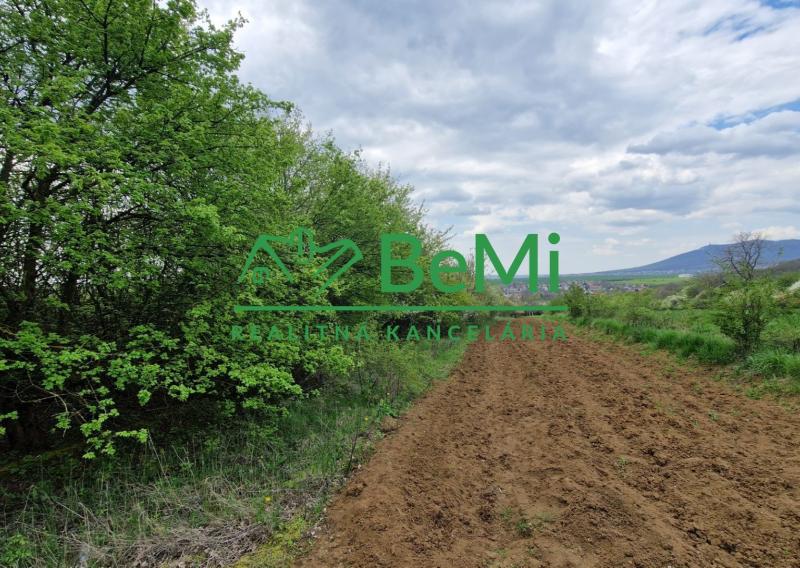 LEN U NÁS! Na predaj pozemok vo vinohradoch obce Pohranice (372-14-BP)