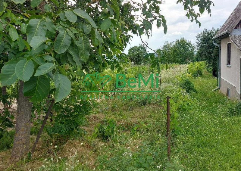 Predaj vinica podiel 1/4 Čechynce pri Nitre, (180-13-ERF)