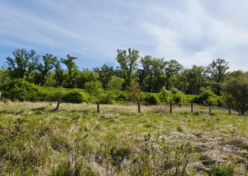 Stavebný pozemok - Vlčany okr.Šaľa 800M2 (027-14-JANS)