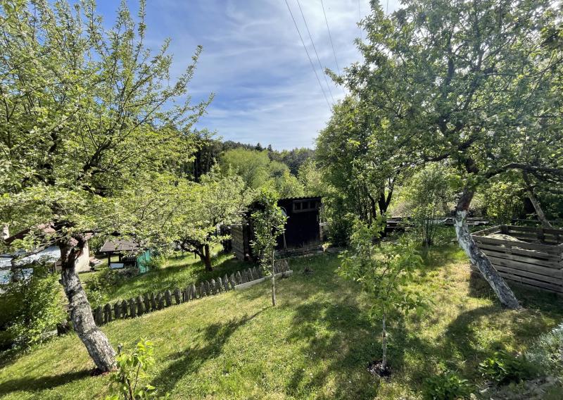 Predaj záhrady v sade 600 ročnice (031-13-ZUPIa)