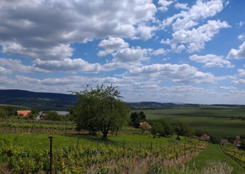 Exkluzívny rekreačný pozemok - Kozárovce (028-14-MIMI)