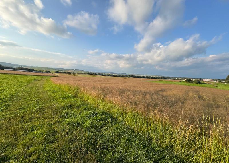 Na predaj pozemok Námestovo - Čerchle - 1 013 m2