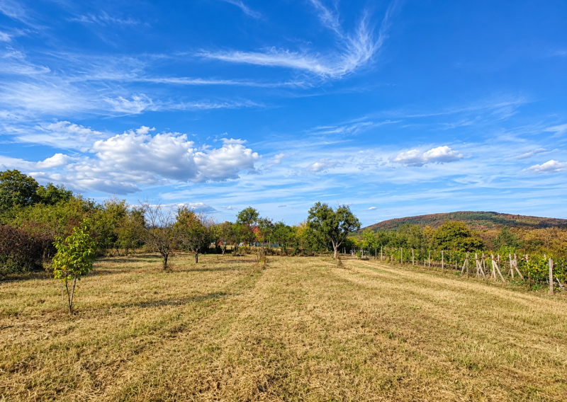 PREDAJ, POZEMOK V REKREAČNEJ OBLASTI RYBNÍK – 860 m² (066-14-SIHA)