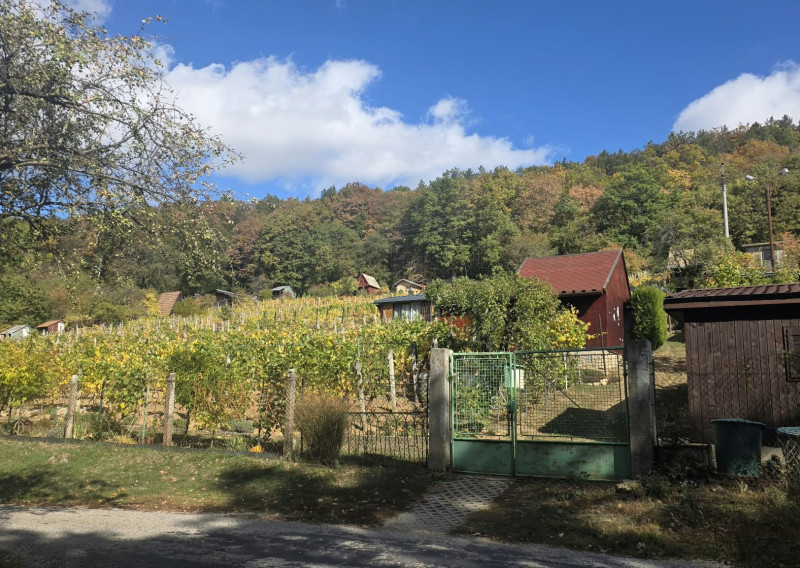 Vinica  s chatkou Stará Tura Dubnik